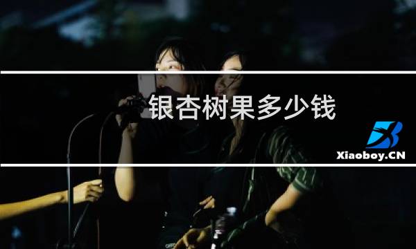 银杏树果多少钱