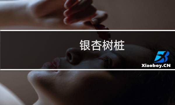 银杏树桩