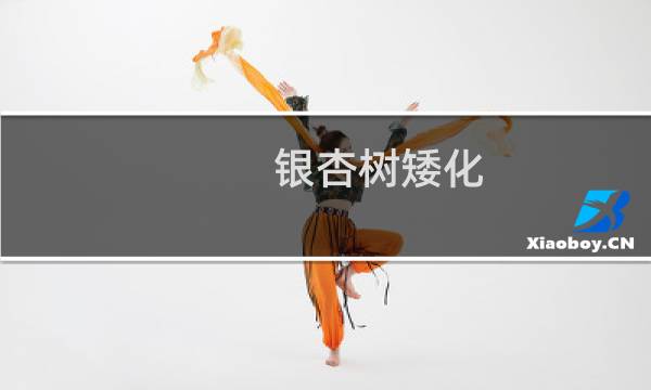 银杏树矮化