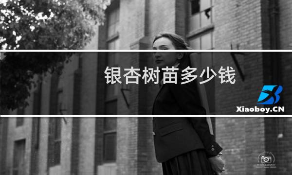 银杏树苗多少钱