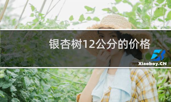 银杏树12公分的价格