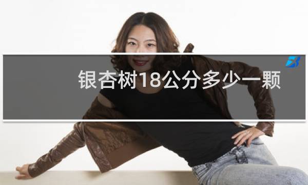 银杏树18公分多少一颗