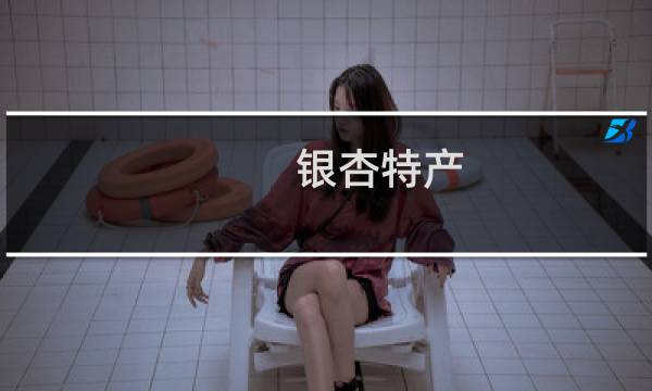 银杏特产