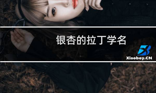 银杏的拉丁学名