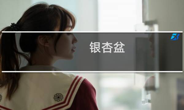 银杏盆