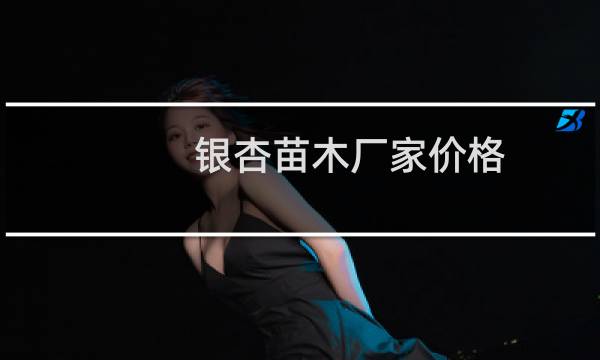 银杏苗木厂家价格