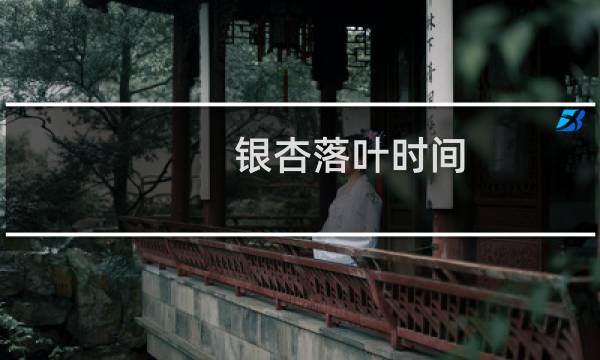 银杏落叶时间