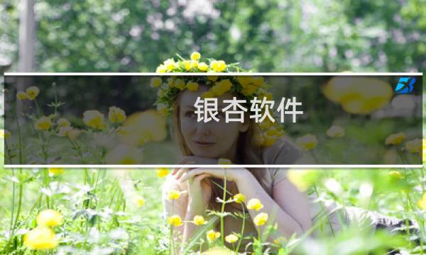 银杏软件