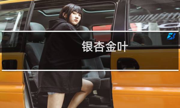 银杏金叶
