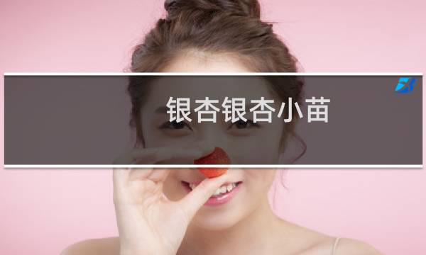 银杏银杏小苗