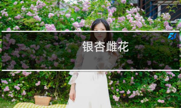 银杏雌花