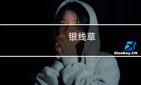 银线草
