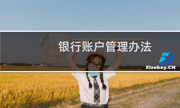 银行账户管理办法图片