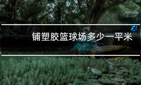 铺塑胶篮球场多少一平米