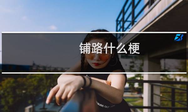 铺路什么梗