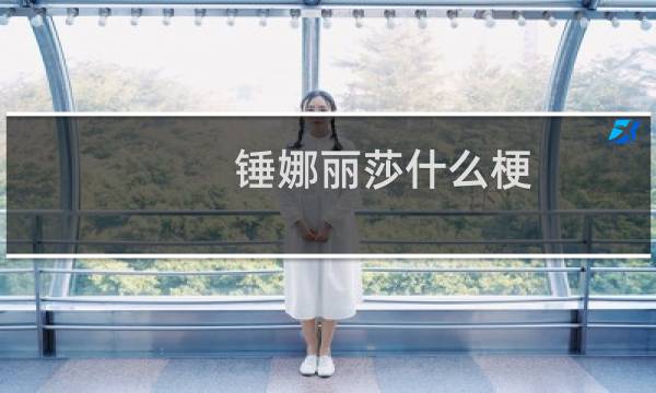 锤娜丽莎什么梗