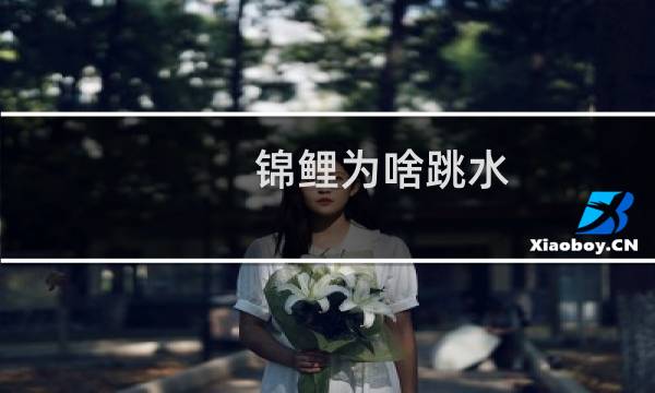 锦鲤为啥跳水