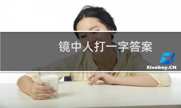 镜中人打一字答案（镜中人打一字）