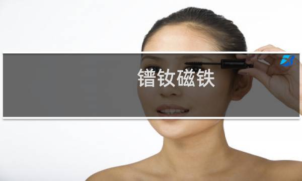 镨钕磁铁