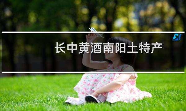 长中黄酒南阳土特产图片