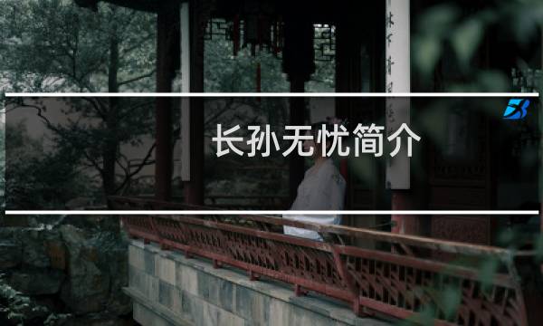 长孙无忧简介（长孙无忧介绍）