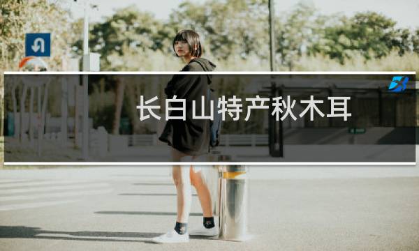 长白山特产秋木耳图片