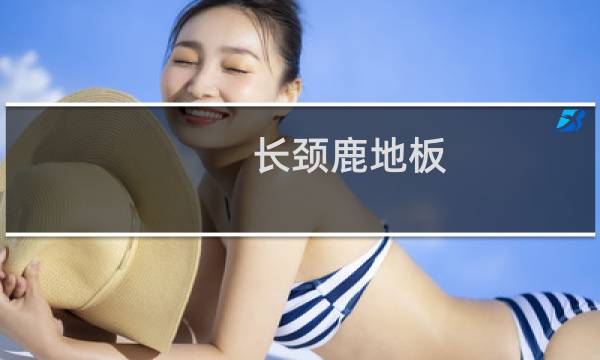 长颈鹿地板图片