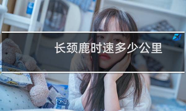 长颈鹿时速多少公里
