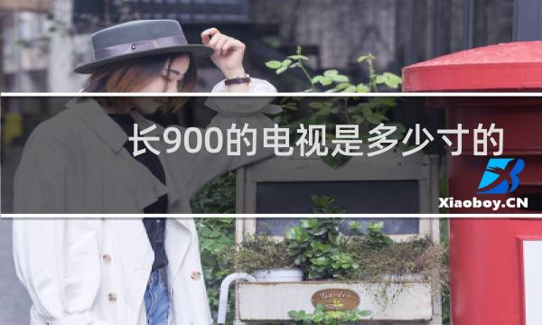 长900的电视是多少寸的