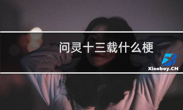 问灵十三载什么梗