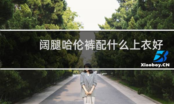 阔腿哈伦裤配什么上衣好看