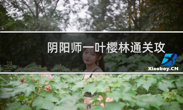 阴阳师一叶樱林通关攻略图