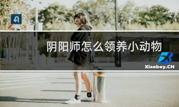 阴阳师怎么领养小动物