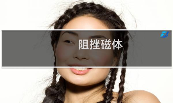 阻挫磁体