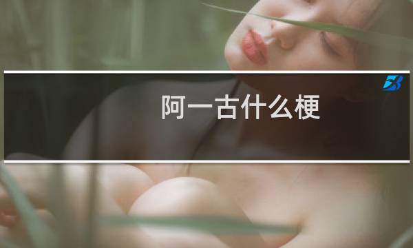 阿一古什么梗