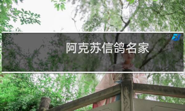 阿克苏信鸽名家
