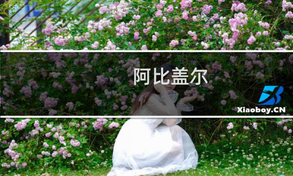 阿比盖尔 斯宾赛图片