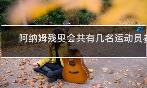 阿纳姆残奥会共有几名运动员参加