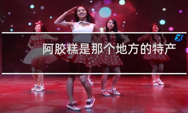阿胶糕是那个地方的特产图片