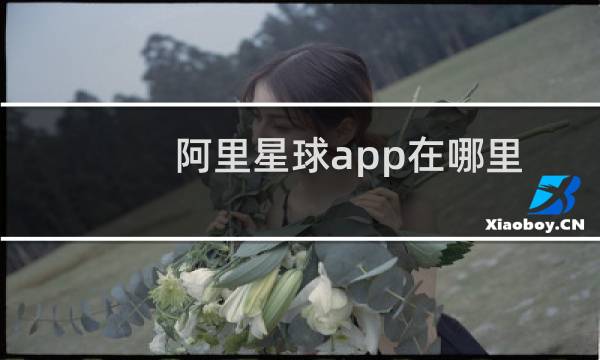 阿里星球app在哪里添加歌单标签呢?