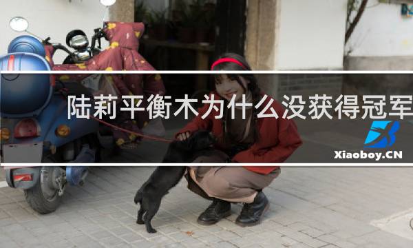 陆莉平衡木为什么没获得冠军