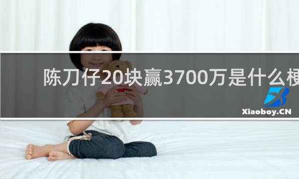 陈刀仔20块赢3700万是什么梗（附：陈刀仔20块赢3700万卢本伟语录）什么梗