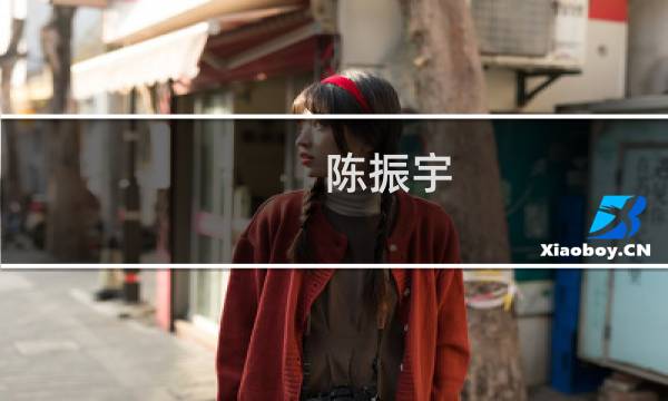 陈振宇(一个小组八个人,我们是第二组,组长:陈振宇副组长:陈诺组员...)