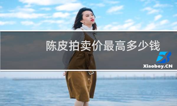 陈皮拍卖价最高多少钱