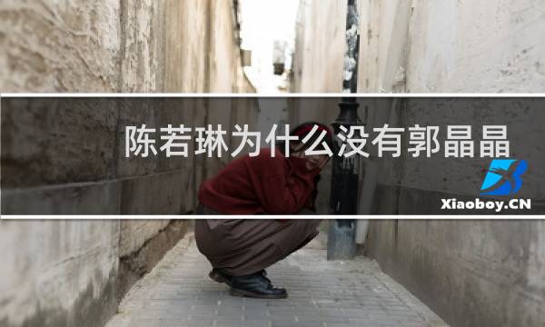 陈若琳为什么没有郭晶晶