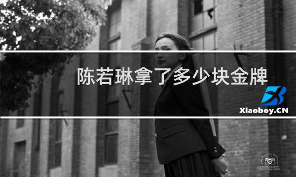 陈若琳拿了多少块金牌