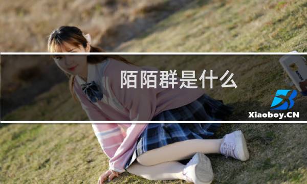 陌陌群是什么