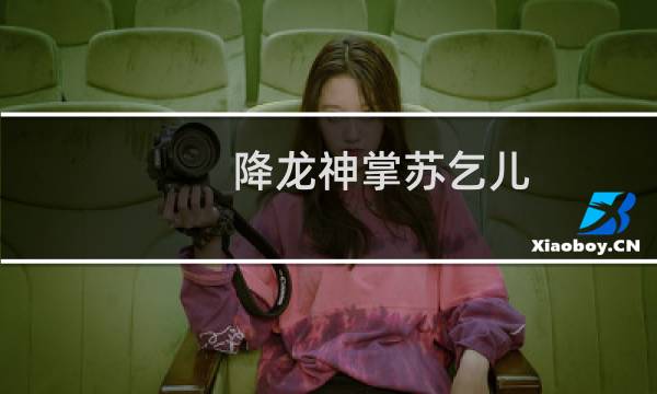 降龙神掌苏乞儿图片