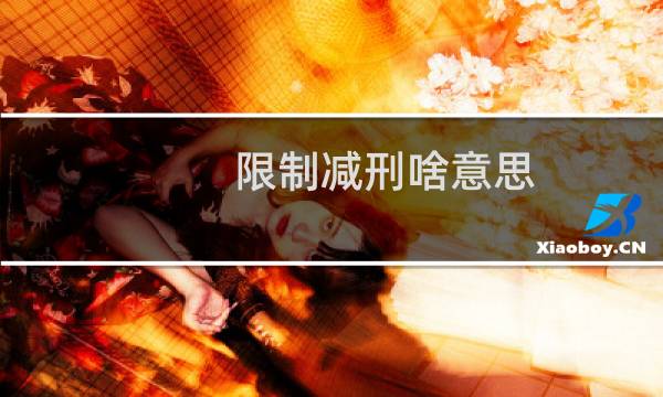 限制减刑啥意思