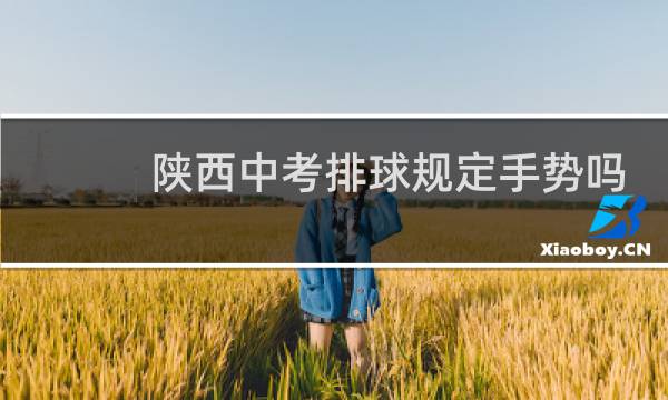 陕西中考排球规定手势吗